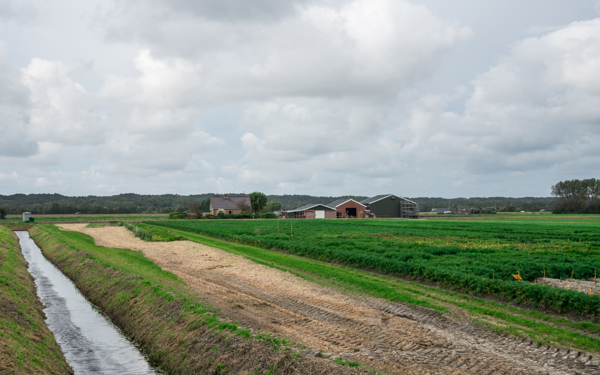 Wie Smart Farming die Effizienz Ihres Betriebes steigert