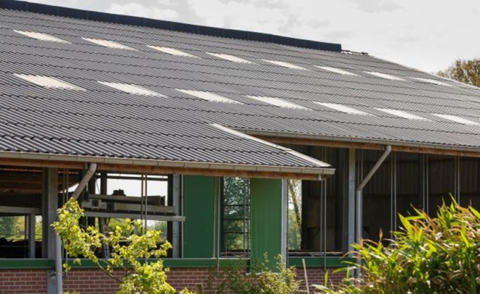 Waarom daglicht zo belangrijk is voor je dieren en je productiviteit 